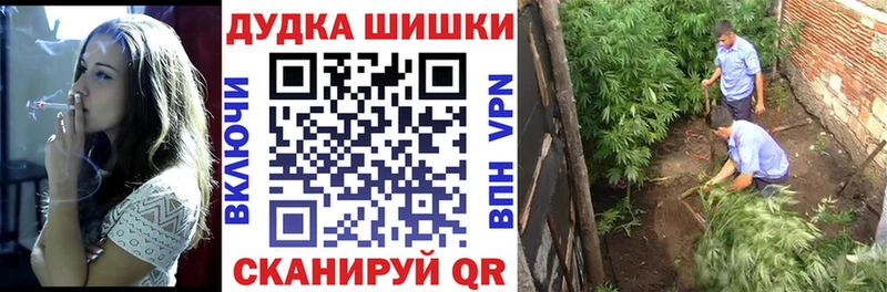 Купить закладку Гашиш Альфа ПВП Меф Новый Оскол