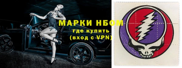 тгк Дмитриев