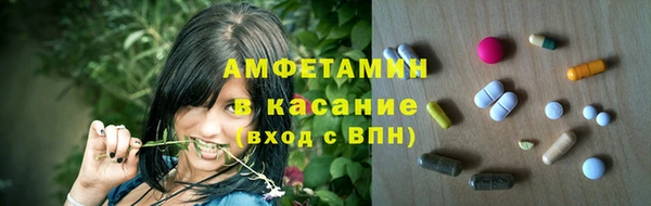 тгк Дмитриев