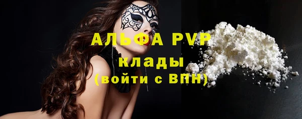 СК Гусев