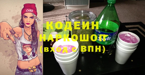 тгк Дмитриев