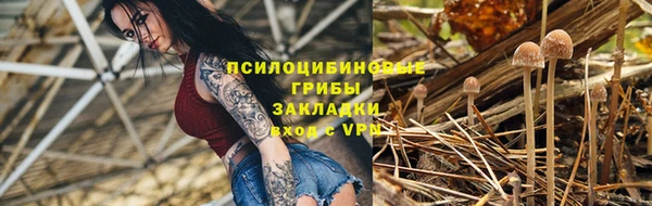 СК Гусев
