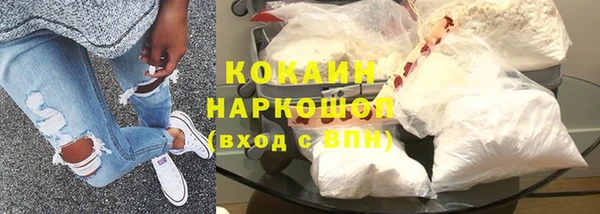 тгк Дмитриев
