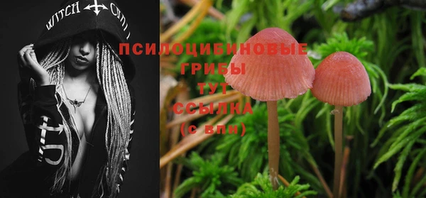 2c-b Гусиноозёрск